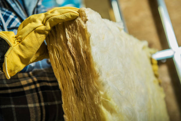 Best Insulation Maintenance and Repair in Petoskey, MI