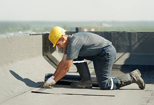 Best DIY Insulation Kits and Guidance in Petoskey, MI