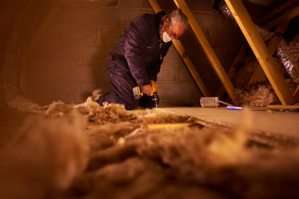 Best Energy Efficiency Insulation in Petoskey, MI